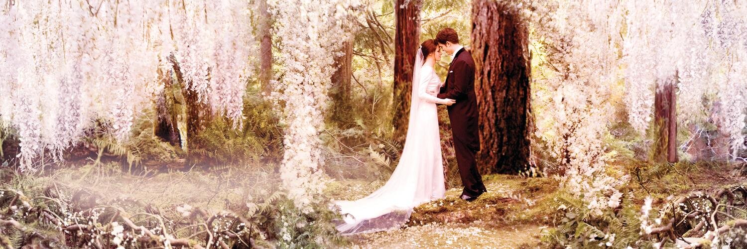 bellasdiary's profile banner image