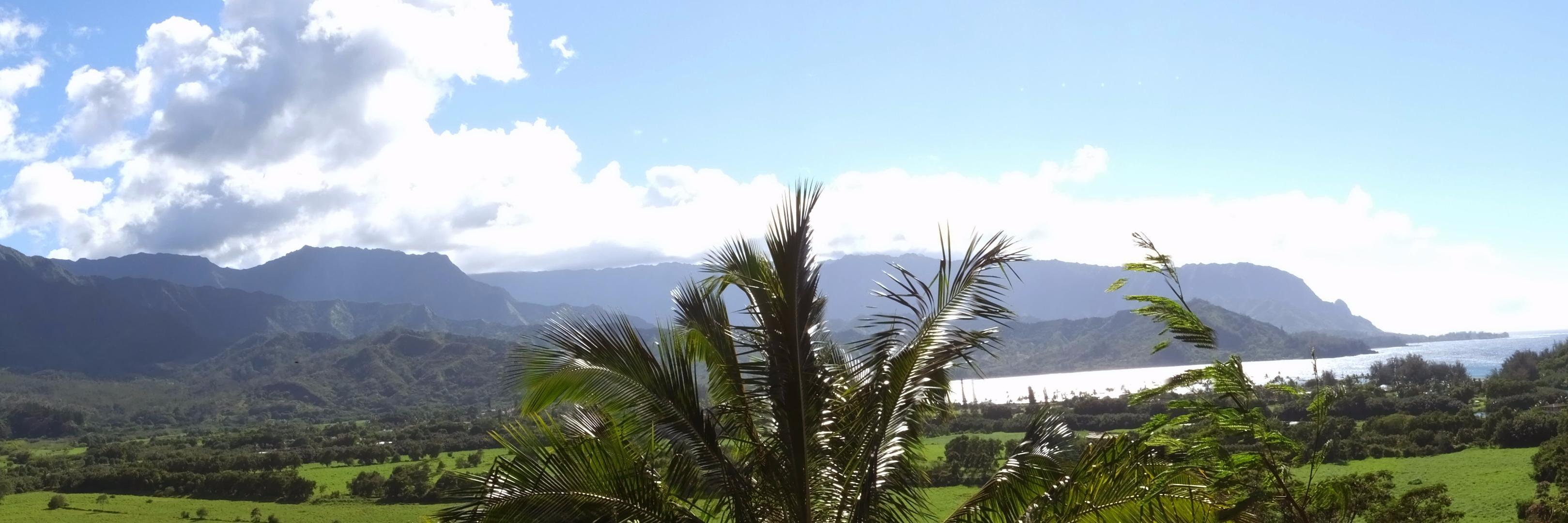 Robin Dohrn-Simpson banner