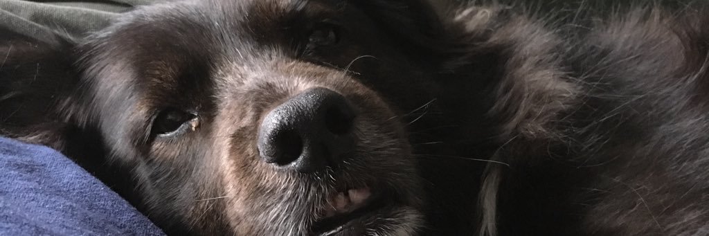 scussethealth83's profile banner image