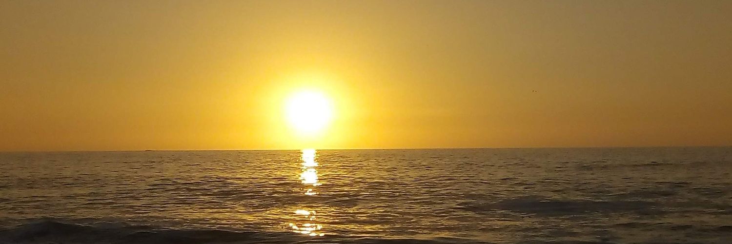 rodrigo28873's profile banner image
