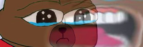 flashmob96 Profile Banner