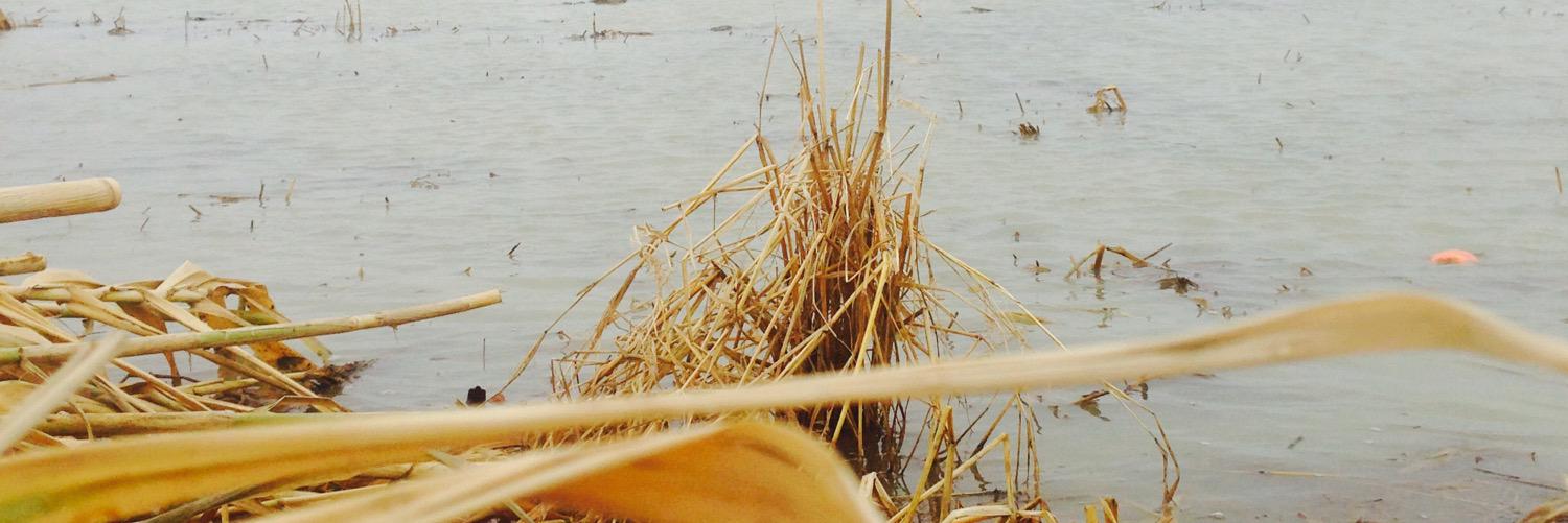 Cody Christian banner