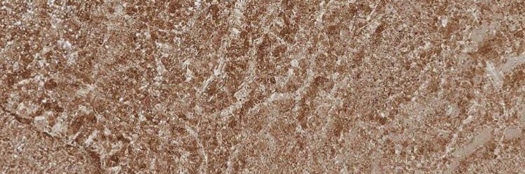 Almaith_alm's profile banner image