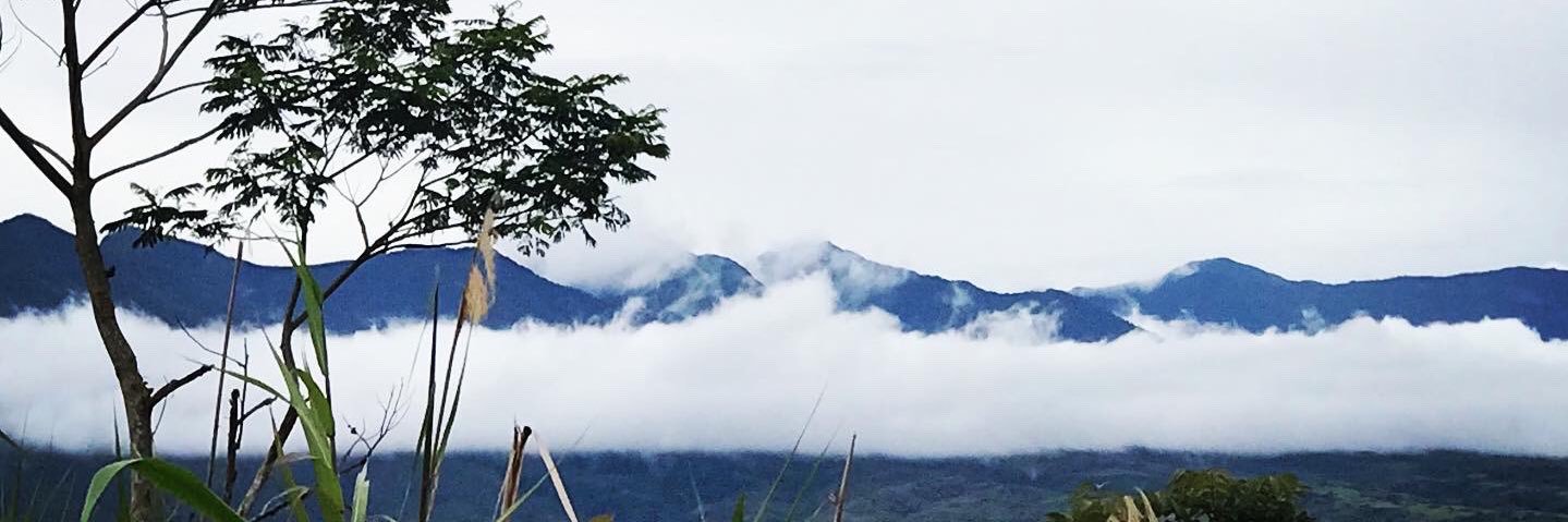 criticalcommons's profile banner image