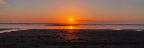 LauraBoutarfa Profile Banner