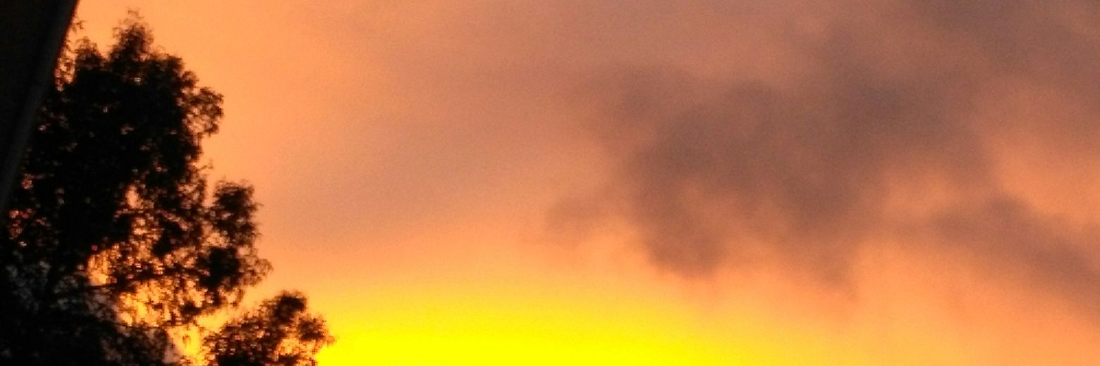 disaster_da's profile banner image