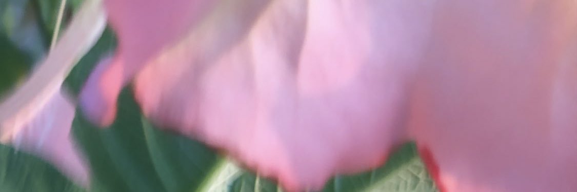 100asas_'s profile banner image