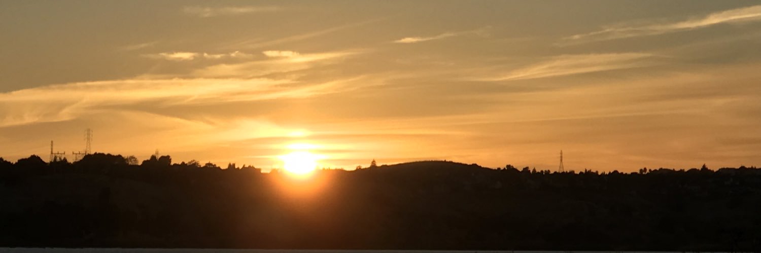 Danni - Decency, Justice and Right still matter. banner