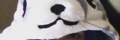 alicja_ch's profile banner image
