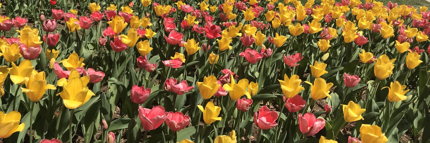 Tiffany Cherelle Fryer banner