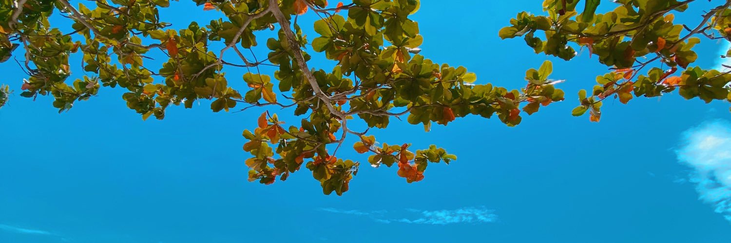 margascout's profile banner image