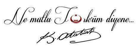 mamibalikci's profile banner image