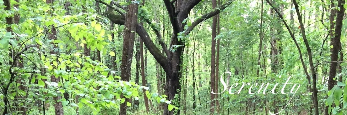 j0bangles's profile banner image