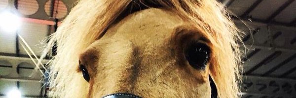 SteveDaShetland Profile Banner