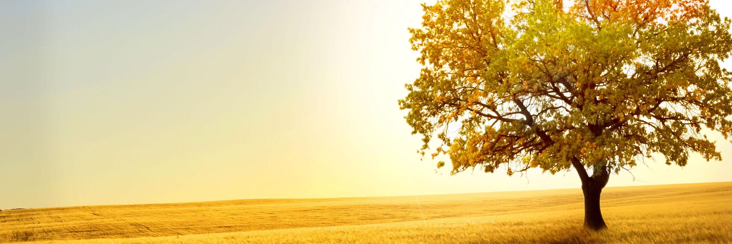 DSKaushal's profile banner image