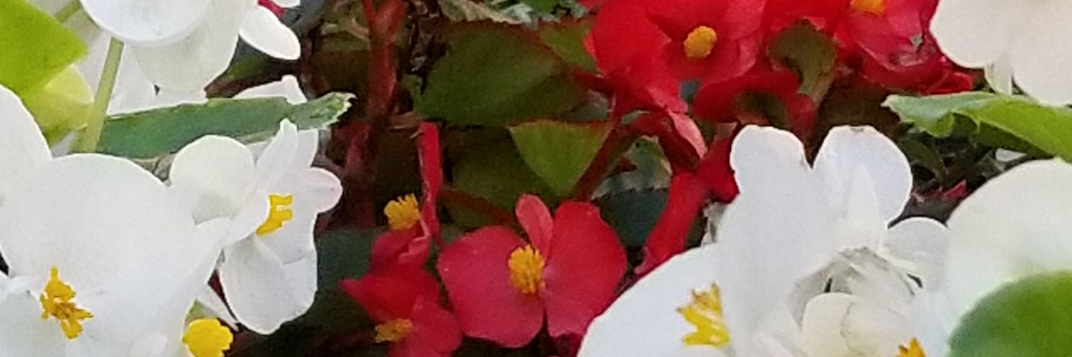 iamdetashia's profile banner image
