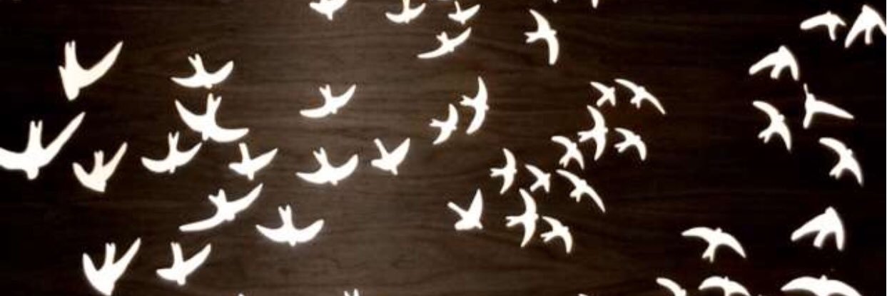 Ayeterrellio's profile banner image