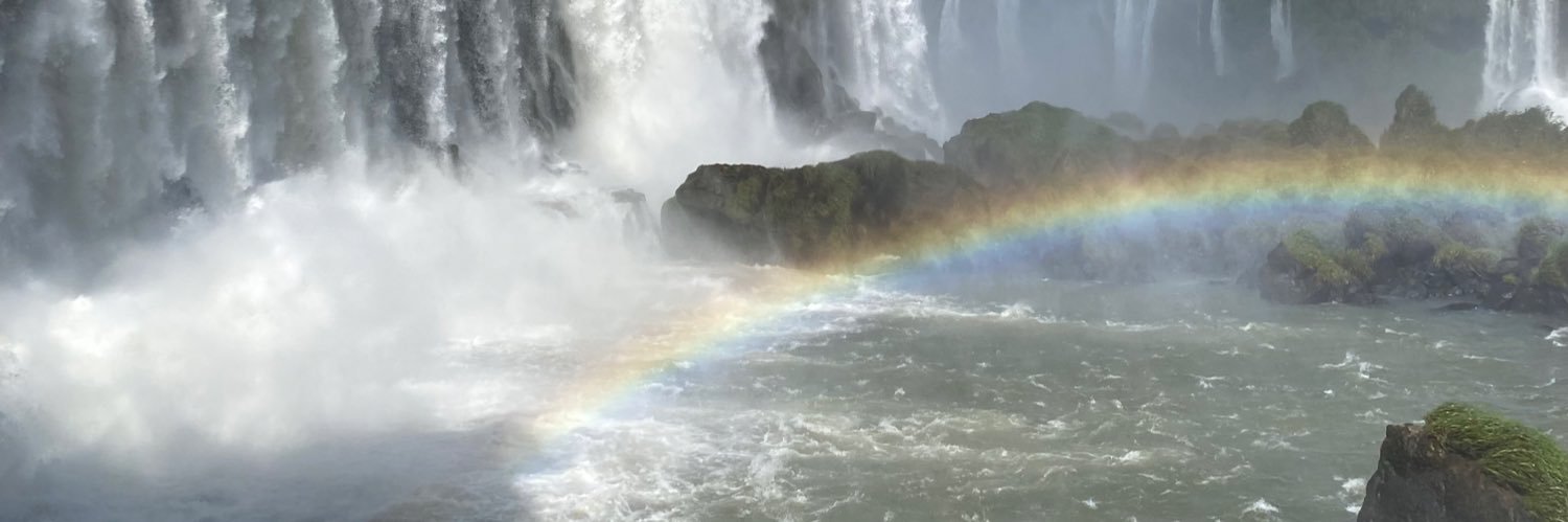 camirodrigues_'s profile banner image