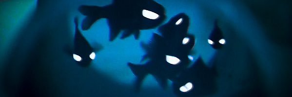 swekg96's profile banner image