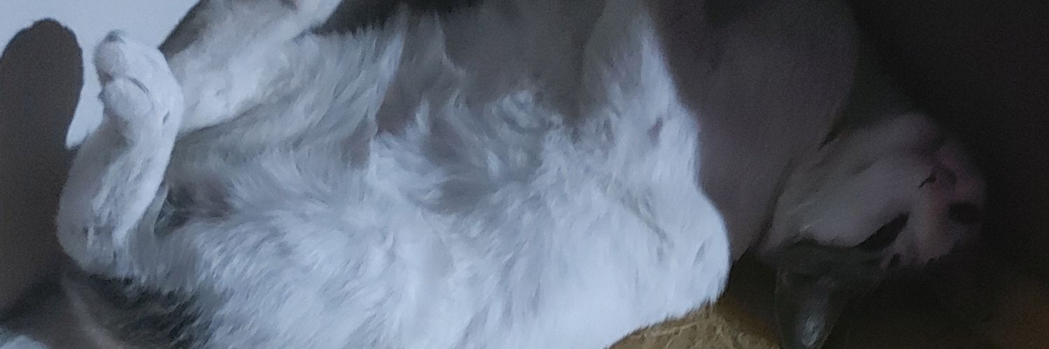 SZJohnSZ's profile banner image