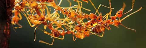 ejpotpotej's profile banner image