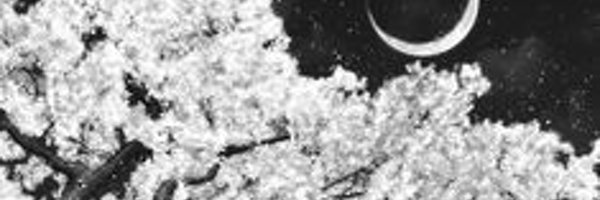 Tijsvanes Profile Banner