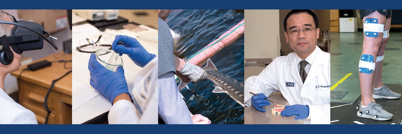 UNE Research banner