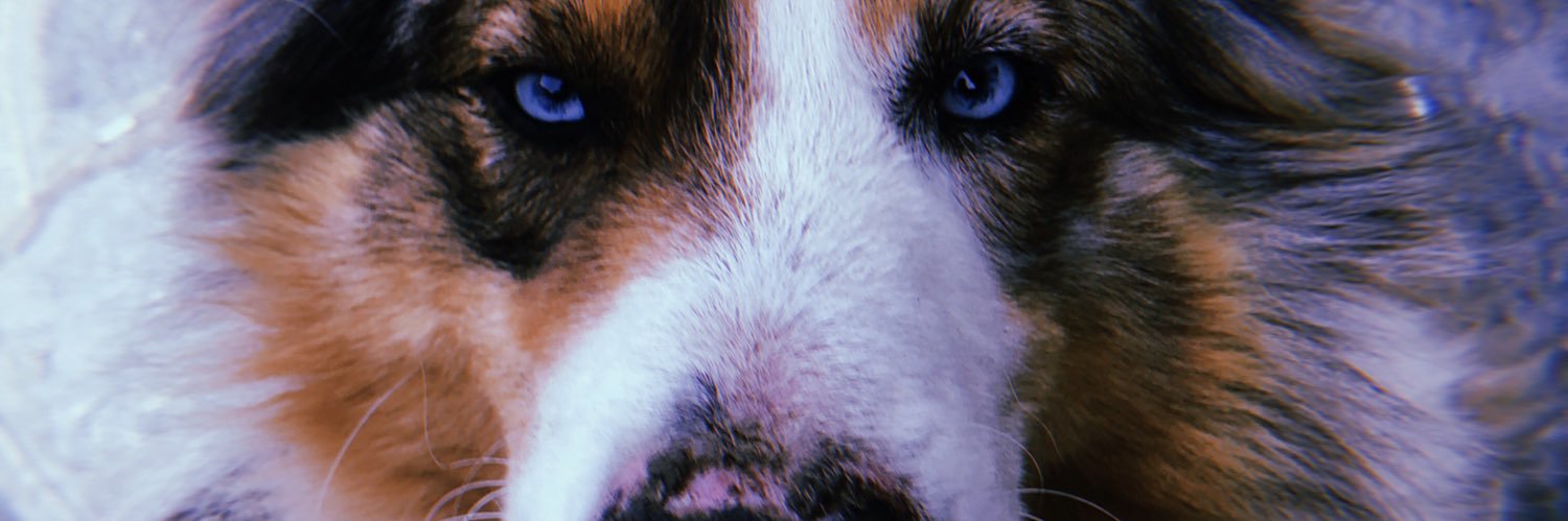 Leratdg's profile banner image