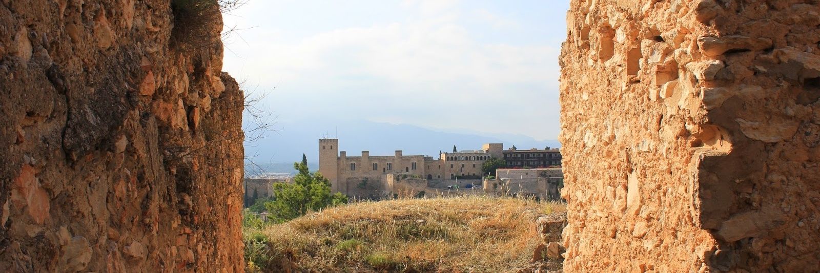 Amics dels Castells i del Nucli Antic de Tortosa banner