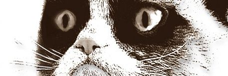 BaierSean's profile banner image