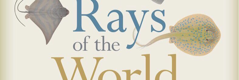 Dr Lindsay Marshall banner