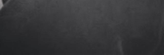 11_rodiz's profile banner image