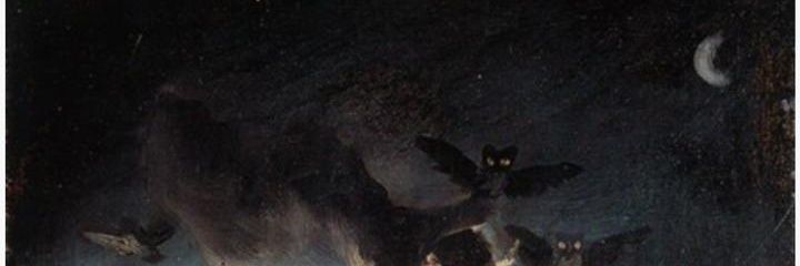 pamspop's profile banner image