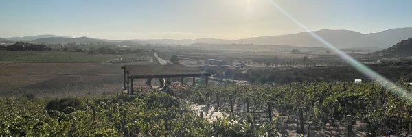 byroc21 Profile Banner