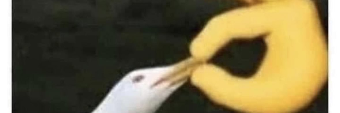 MallCav's profile banner image