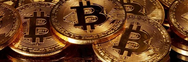 Crypto Whale banner