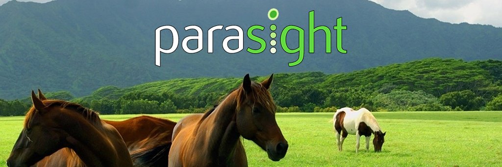 parasightsystem's profile banner image