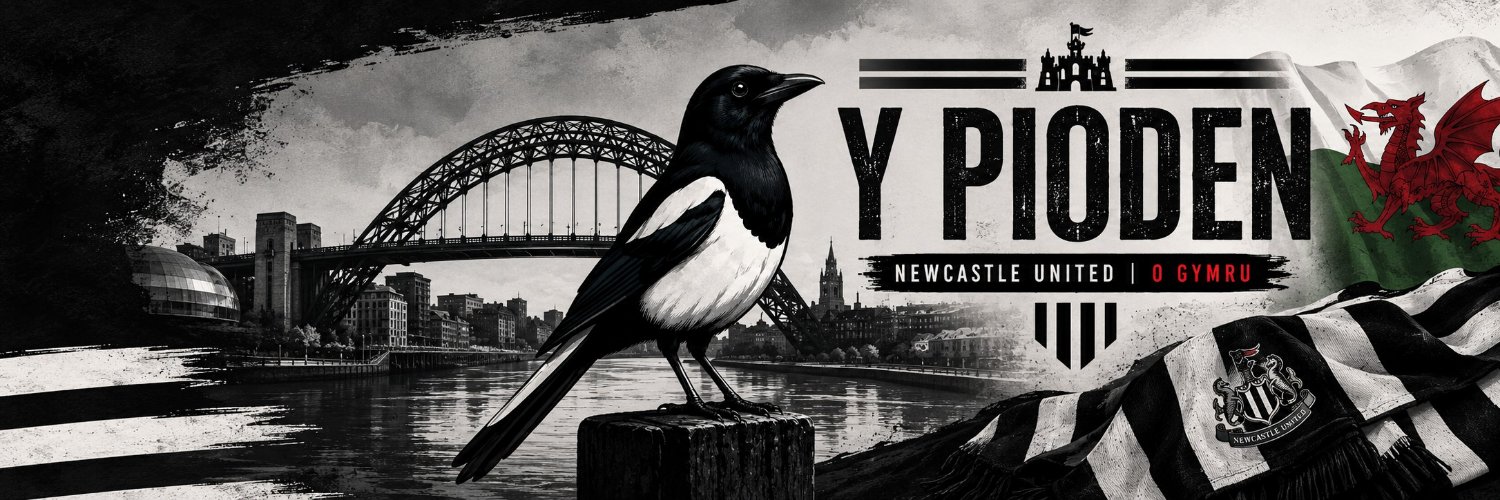 YPiodenNUFC's profile banner image