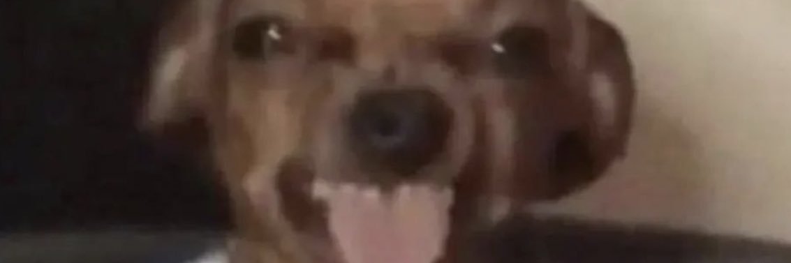 doublegumgum's profile banner image