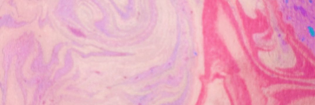 apo_13_no64's profile banner image