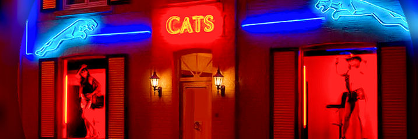 PimpernelBlue Profile Banner