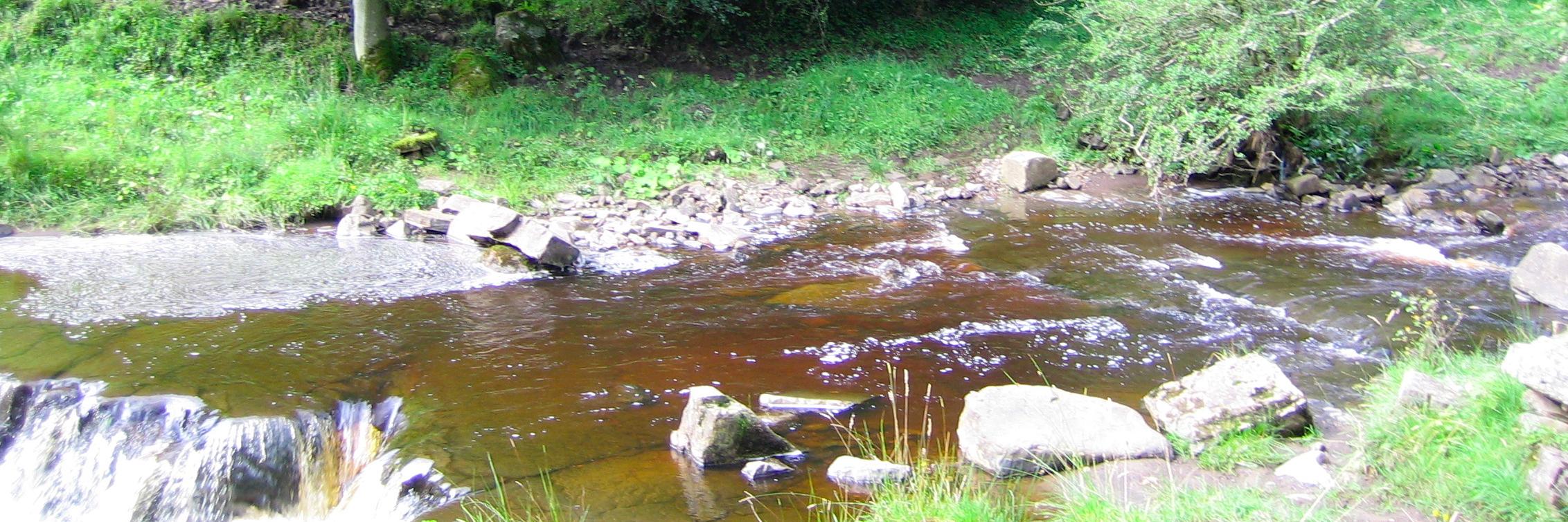 HelenCannam's profile banner image