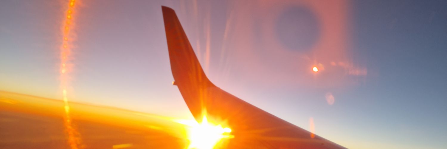aliwade73's profile banner image
