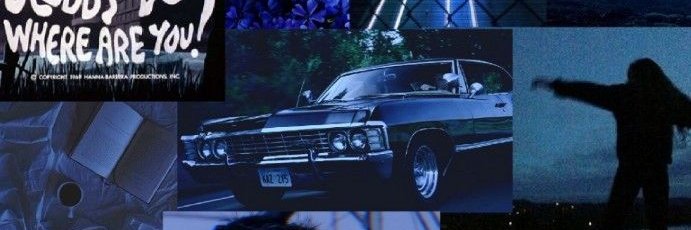 loise banner