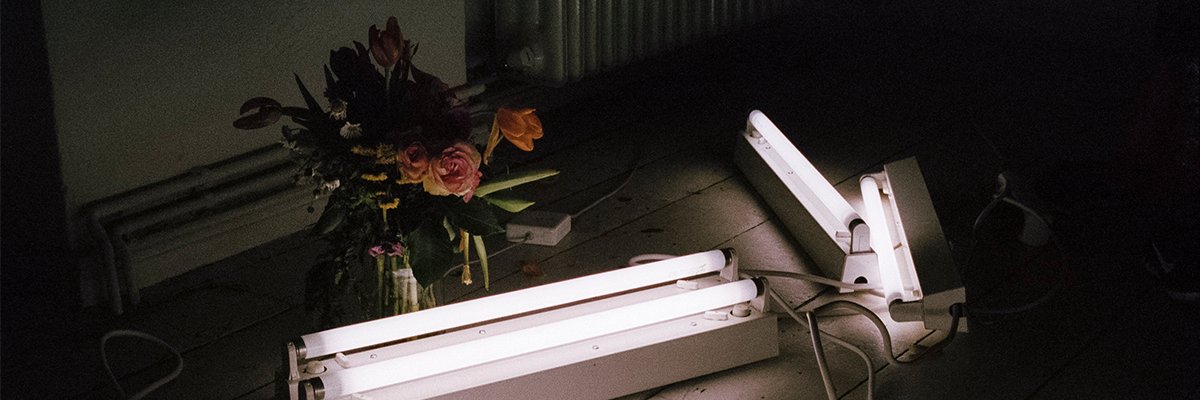 Live From Earth banner