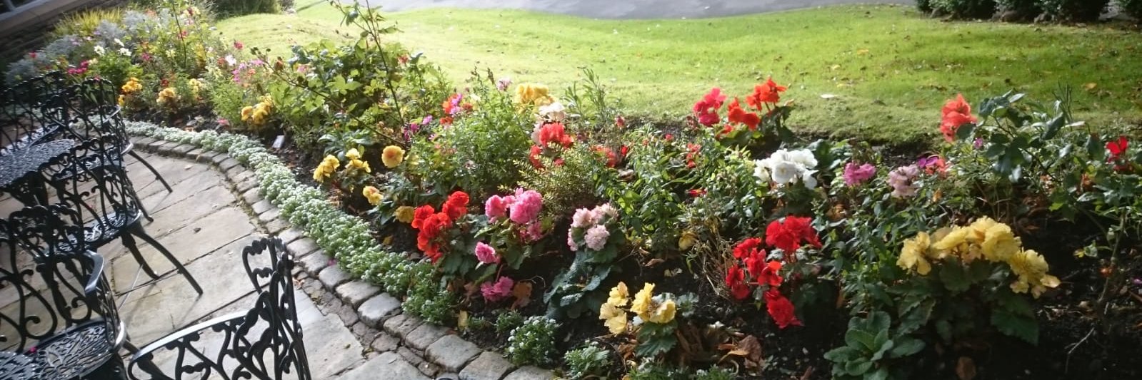 DownWithTheCrown! banner