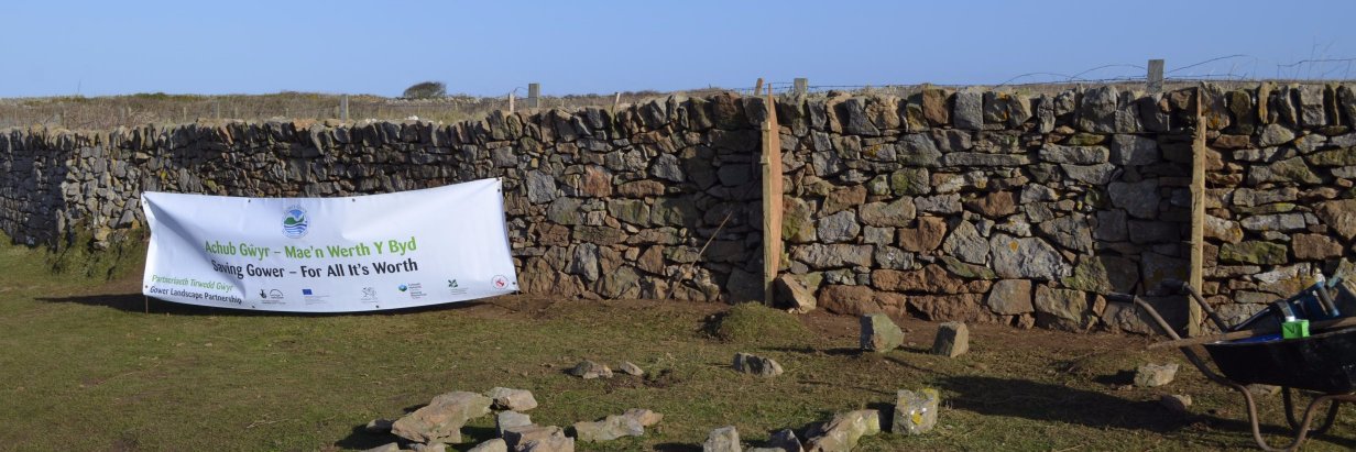 This Is Gower banner