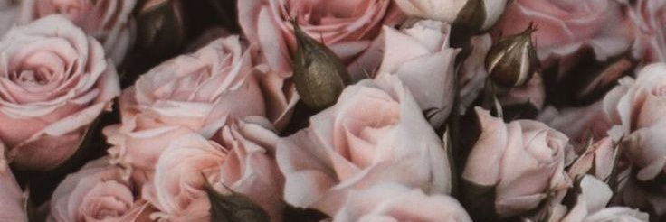 JuiMechant's profile banner image