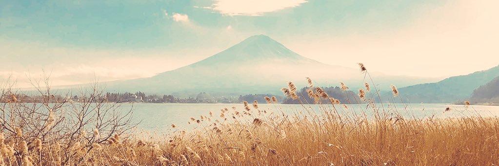 holishaymichael's profile banner image