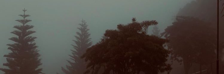 azlfadli's profile banner image